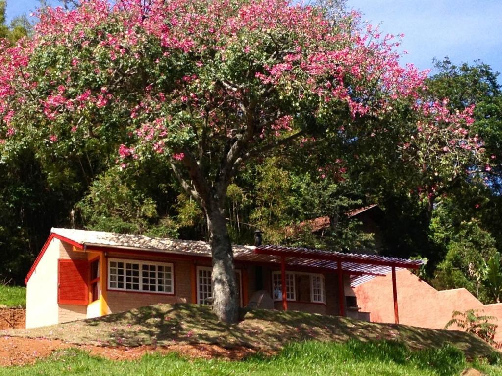 Pousada Chales Da Casa Centenaria Santo Antônio do Pinhal Екстериор снимка